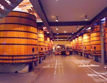 釀酒行業(yè)鍋爐