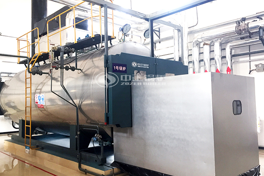 國藥集團(tuán)10噸WNS系列燃?xì)忮仩t項(xiàng)目