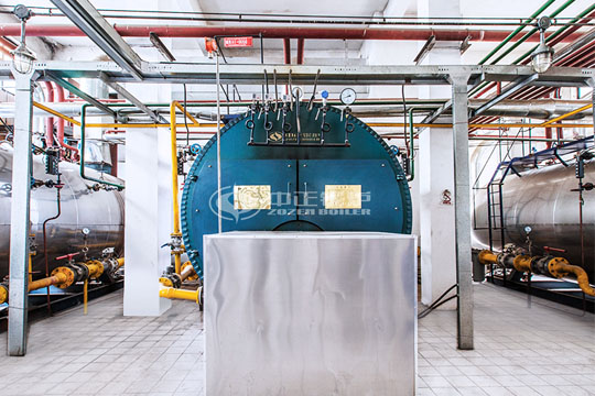 金新農(nóng)飼料4噸WNS系列冷凝式燃?xì)忮仩t項(xiàng)目