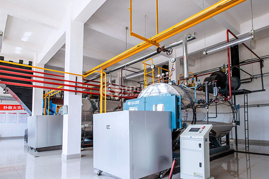 金陽(yáng)飼料2噸WNS系列冷凝式燃?xì)忮仩t項(xiàng)目