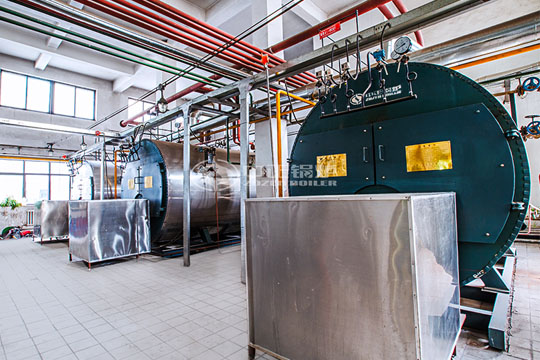 農(nóng)夫山泉4噸WNS系列冷凝式燃?xì)庹羝仩t項(xiàng)目