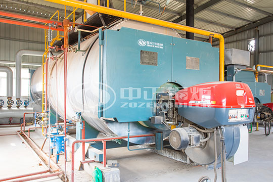 紫陽(yáng)10噸WNS冷凝式燃?xì)庹羝仩t項(xiàng)目
