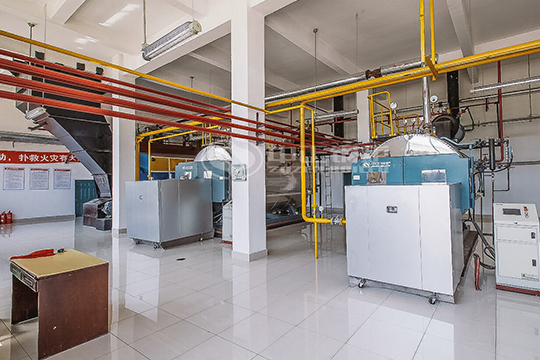 中魯果蔬汁6噸WNS系列冷凝式燃?xì)庹羝仩t項(xiàng)目