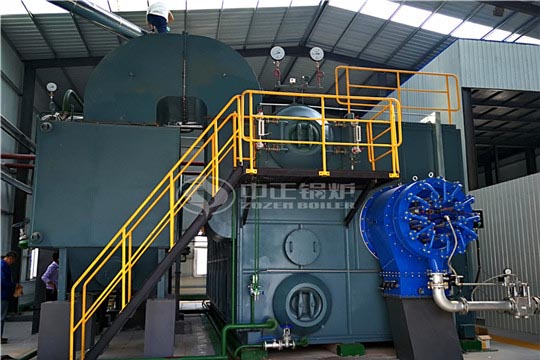 方便面廠25噸SZS冷凝式燃?xì)庹羝仩t項(xiàng)目