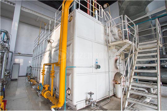 現(xiàn)代牧業(yè)25噸SZS系列冷凝式燃?xì)忮仩t項(xiàng)目