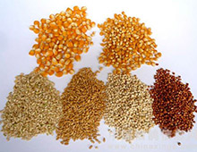 農(nóng)飼料產(chǎn)品